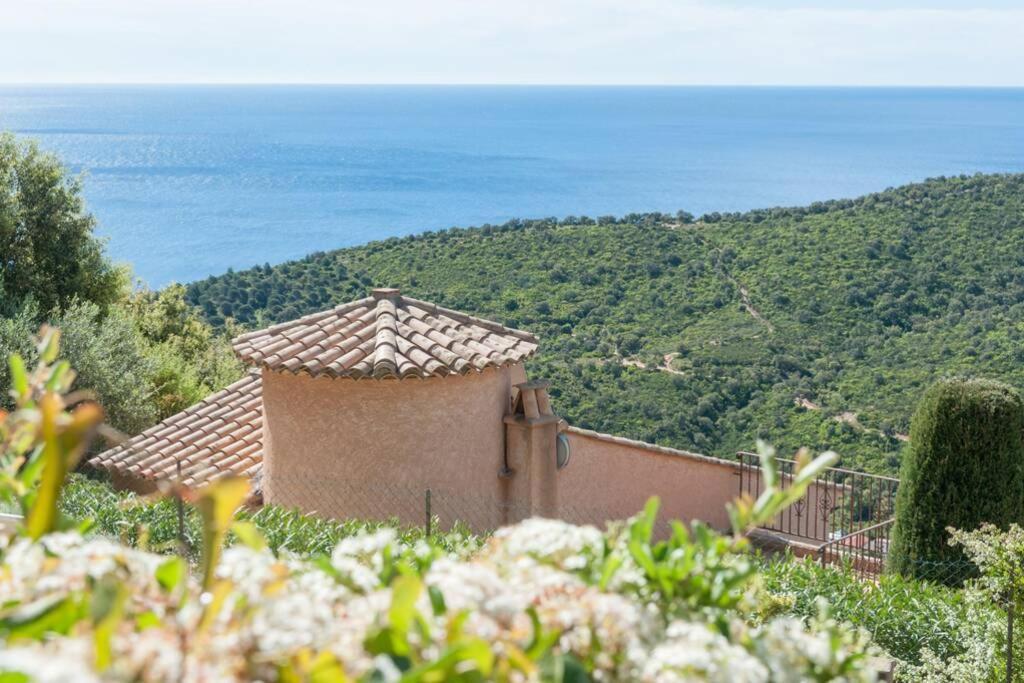 Villa Petale De Rose Кавалер-сюр-Мер Екстер'єр фото